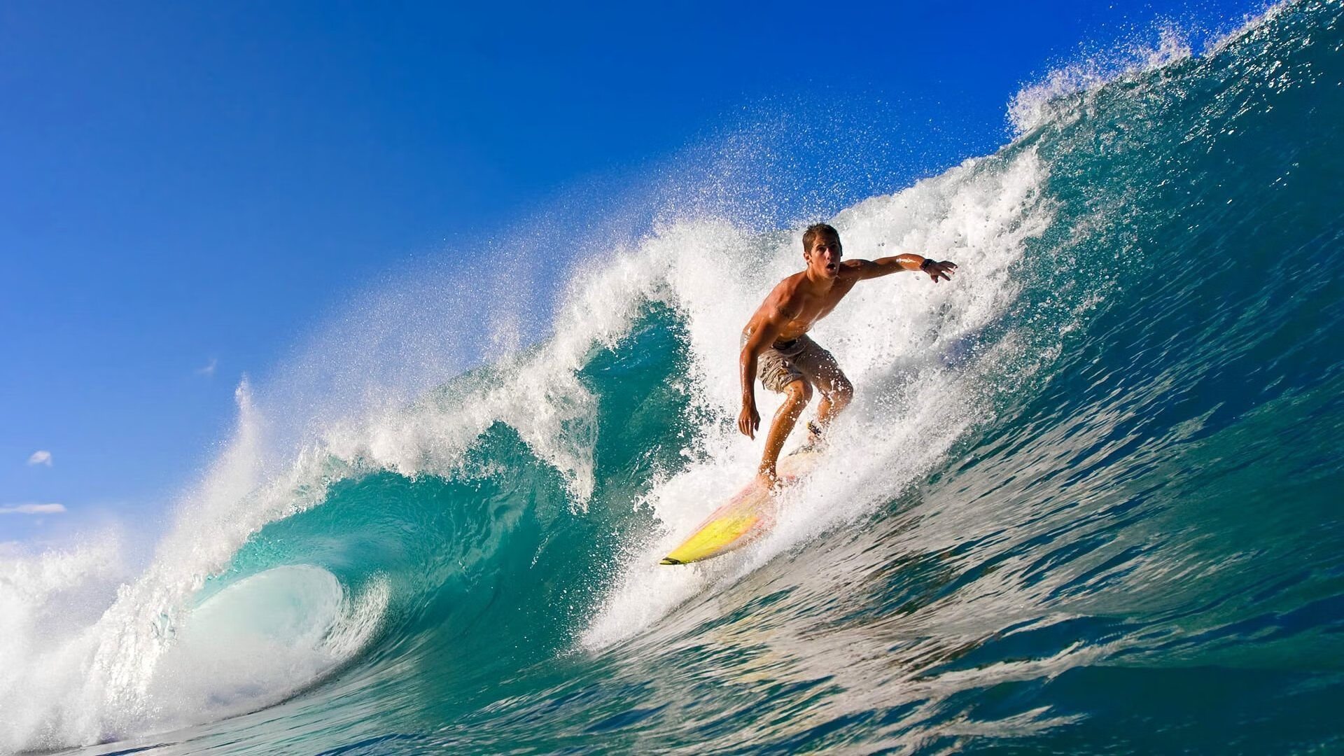 世界体育舞蹈锦标赛中国队表现优异，体育舞蹈世界锦标赛项目