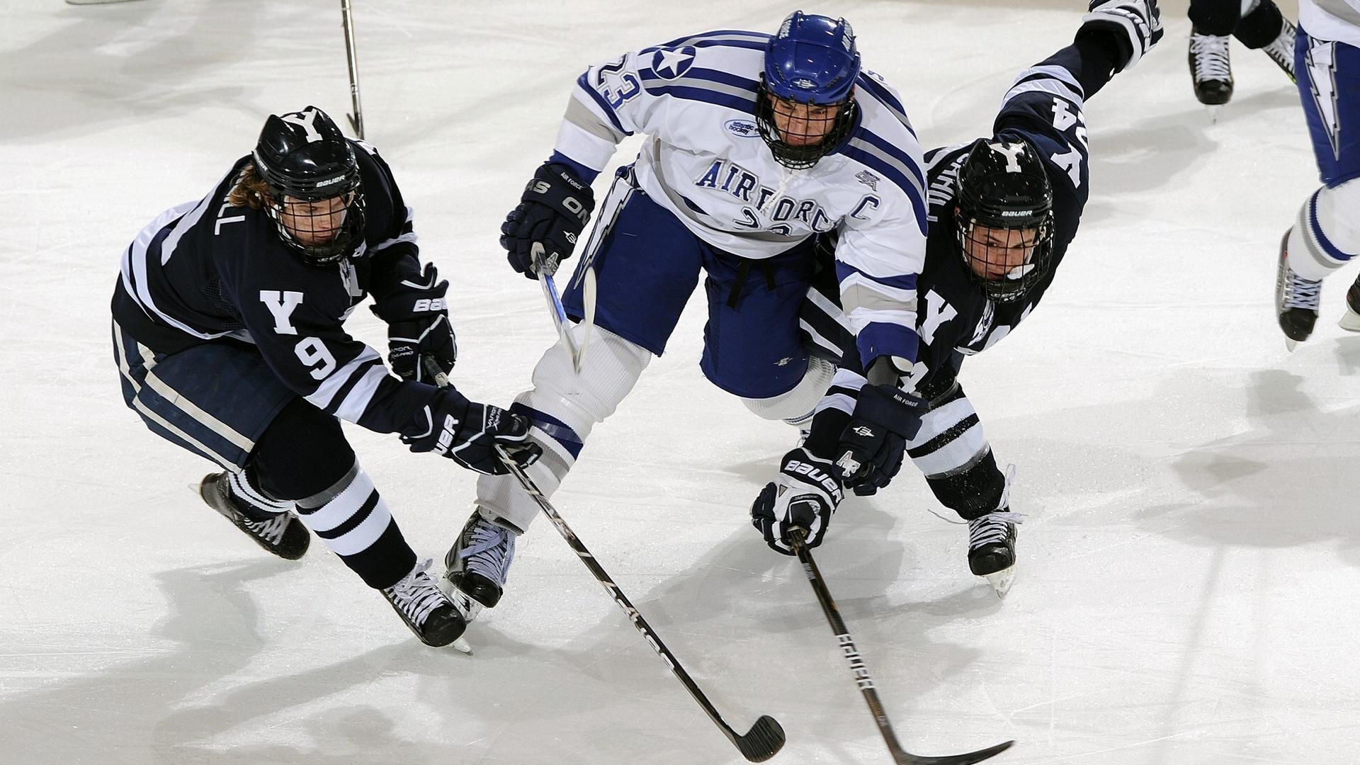 体育场馆消防安全管理标准化方案，体育馆消防安全设施规定